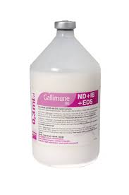 Gallimune 302
