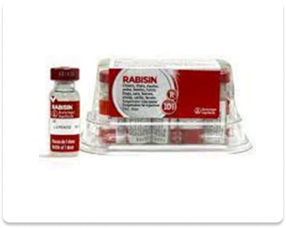 Rabisin